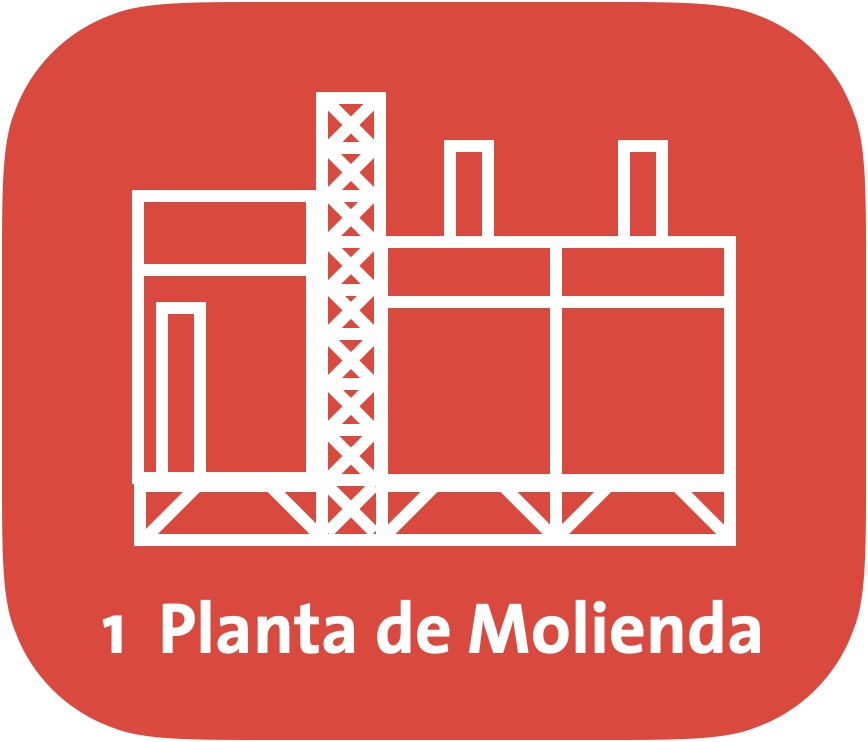 molienda molienda