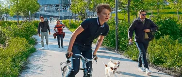 vision y valores holcim